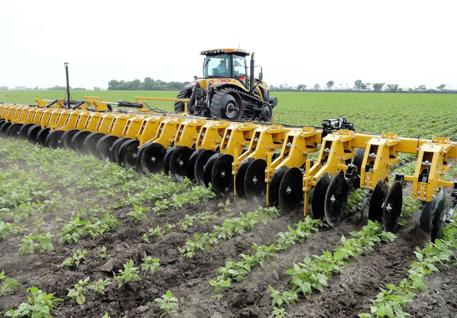 alloway-row-crop-cultivators-alloway